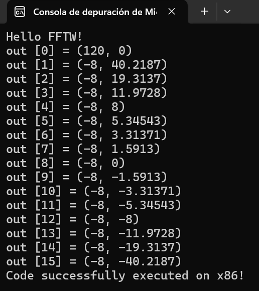 Console output of the FFTW execution.